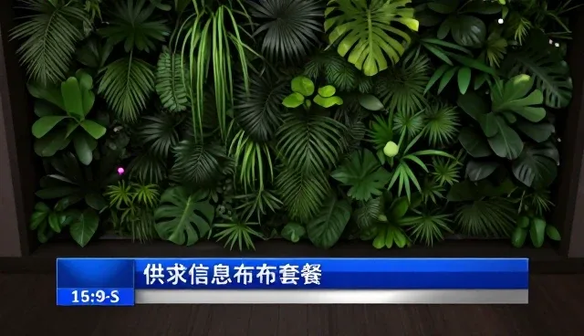供求信息发布套餐的信息管理性能分析与适用场景探讨