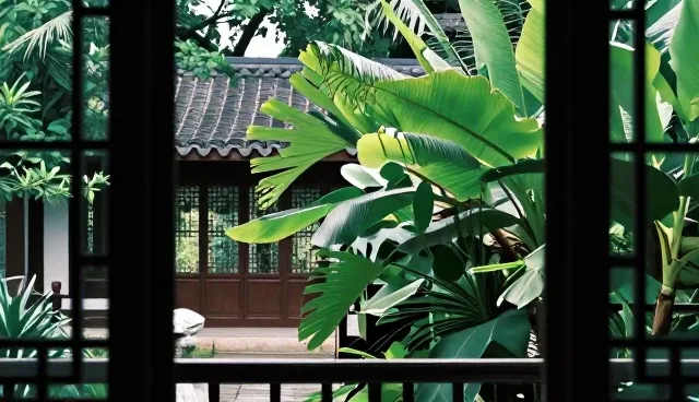 平台运营中的产品推广误区与正确理解